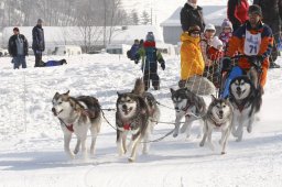 Lenk 2012 SM